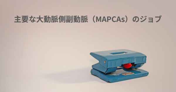 主要な大動脈側副動脈（MAPCAs）のジョブ