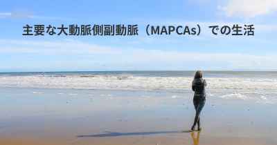 主要な大動脈側副動脈（MAPCAs）での生活