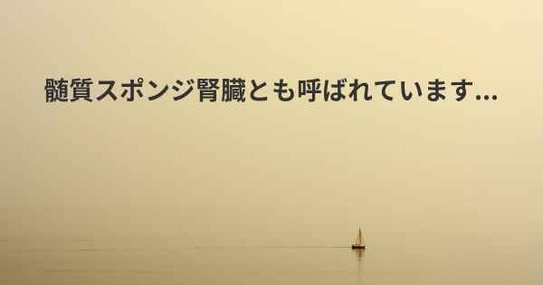 髄質スポンジ腎臓とも呼ばれています...