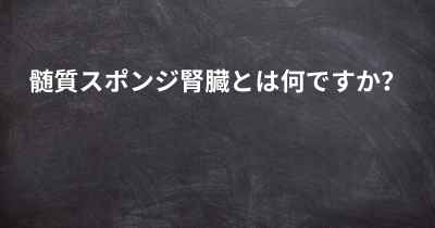 髄質スポンジ腎臓とは何ですか？