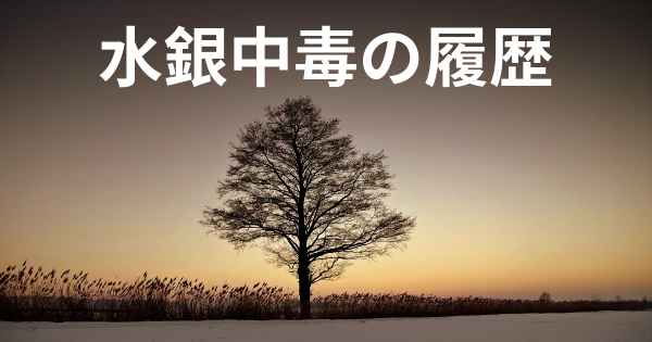 水銀中毒の履歴
