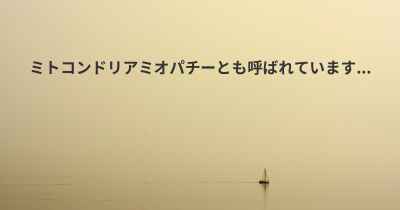 ミトコンドリアミオパチーとも呼ばれています...