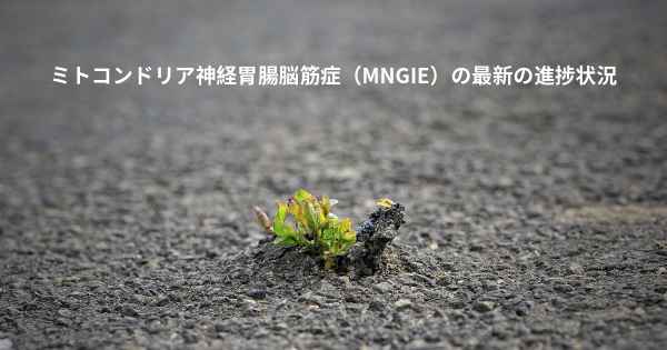 ミトコンドリア神経胃腸脳筋症（MNGIE）の最新の進捗状況