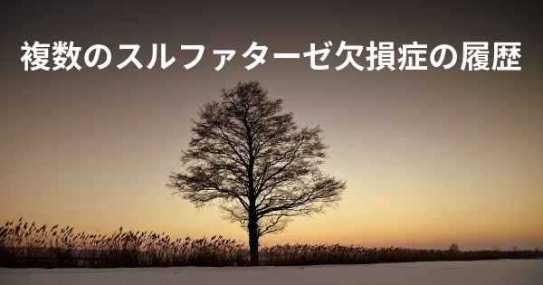 複数のスルファターゼ欠損症の履歴