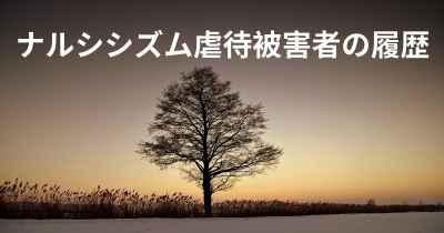 ナルシシズム虐待被害者の履歴