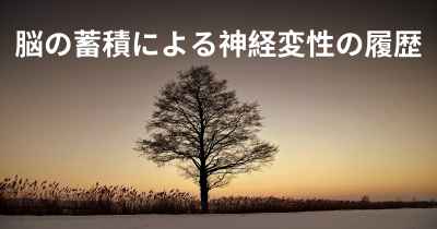 脳の蓄積による神経変性の履歴