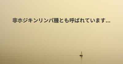 非ホジキンリンパ腫とも呼ばれています...