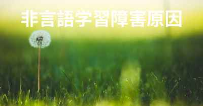 非言語学習障害原因
