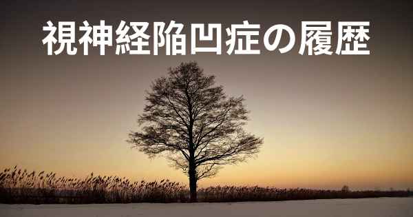 視神経陥凹症の履歴