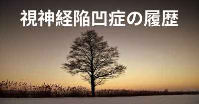 視神経陥凹症の履歴