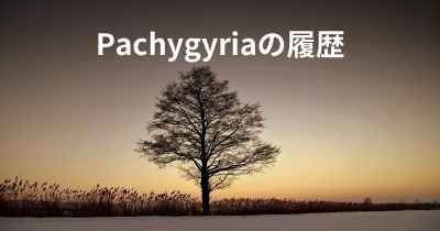 Pachygyriaの履歴