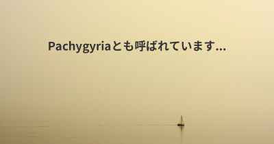 Pachygyriaとも呼ばれています...