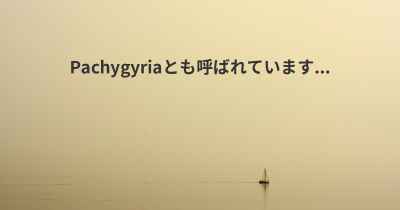 Pachygyriaとも呼ばれています...