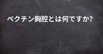 ペクチン胸腔とは何ですか？