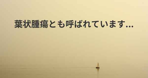 葉状腫瘍とも呼ばれています...