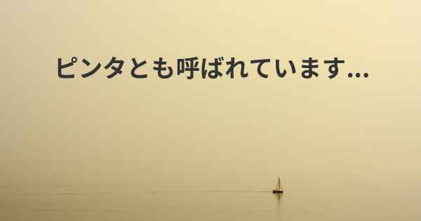 ピンタとも呼ばれています...