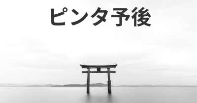 ピンタ予後