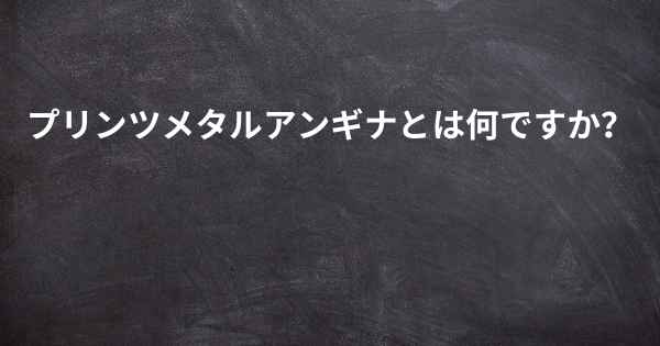 プリンツメタルアンギナとは何ですか？