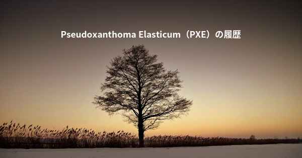 Pseudoxanthoma Elasticum（PXE）の履歴