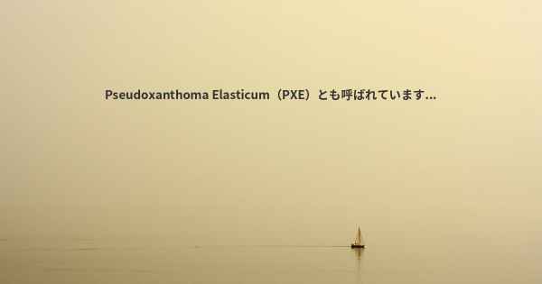 Pseudoxanthoma Elasticum（PXE）とも呼ばれています...