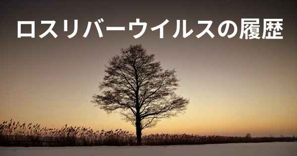 ロスリバーウイルスの履歴