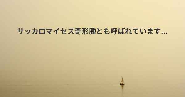 サッカロマイセス奇形腫とも呼ばれています...