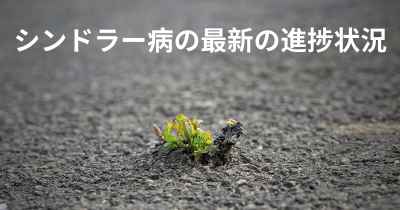シンドラー病の最新の進捗状況