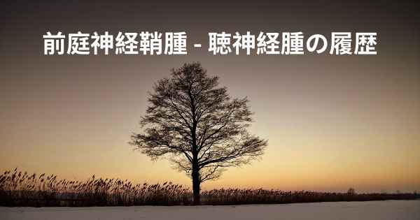 前庭神経鞘腫 - 聴神経腫の履歴