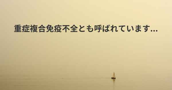 重症複合免疫不全とも呼ばれています...