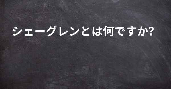 シェーグレンとは何ですか？