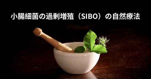 小腸細菌の過剰増殖（SIBO）の自然療法