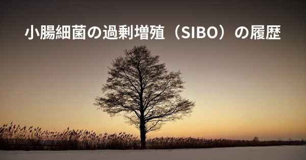 小腸細菌の過剰増殖（SIBO）の履歴