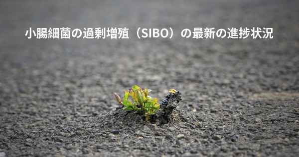 小腸細菌の過剰増殖（SIBO）の最新の進捗状況