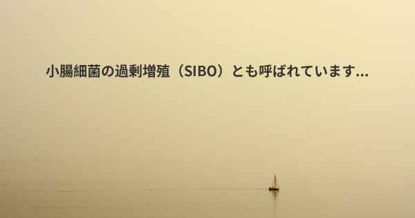 小腸細菌の過剰増殖（SIBO）とも呼ばれています...