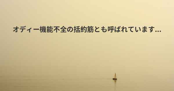 オディー機能不全の括約筋とも呼ばれています...