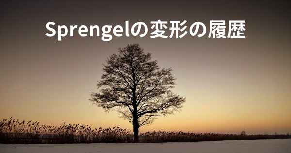 Sprengelの変形の履歴