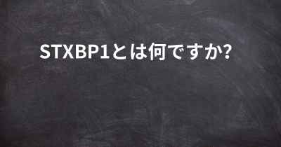 STXBP1とは何ですか？