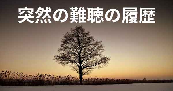 突然の難聴の履歴