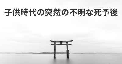 子供時代の突然の不明な死予後