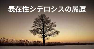 表在性シデロシスの履歴