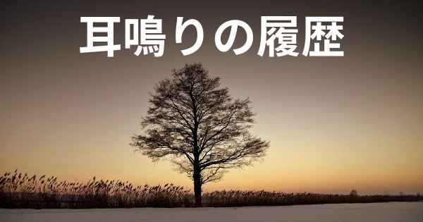 耳鳴りの履歴