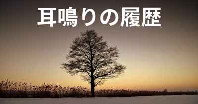 耳鳴りの履歴