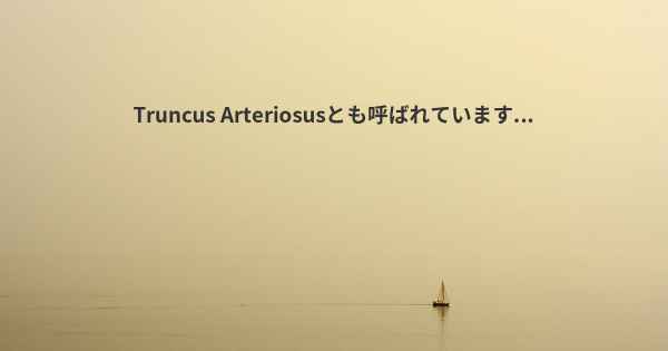 Truncus Arteriosusとも呼ばれています...
