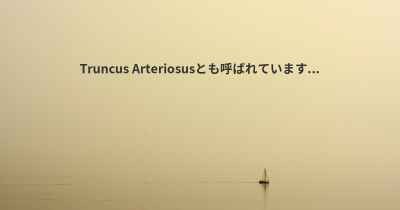 Truncus Arteriosusとも呼ばれています...