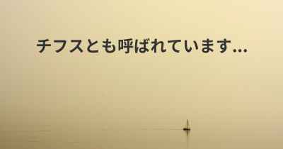 チフスとも呼ばれています...