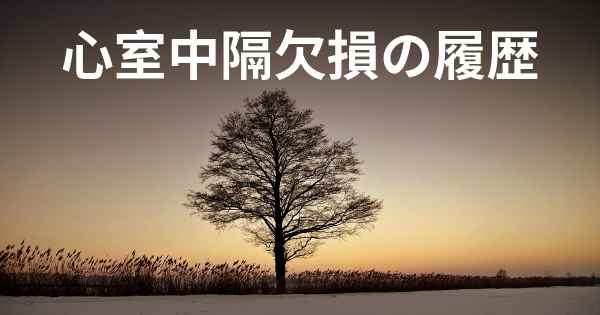 心室中隔欠損の履歴