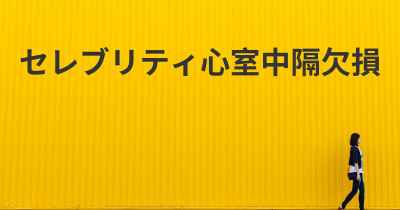 セレブリティ心室中隔欠損