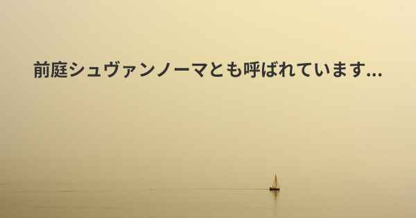 前庭シュヴァンノーマとも呼ばれています...