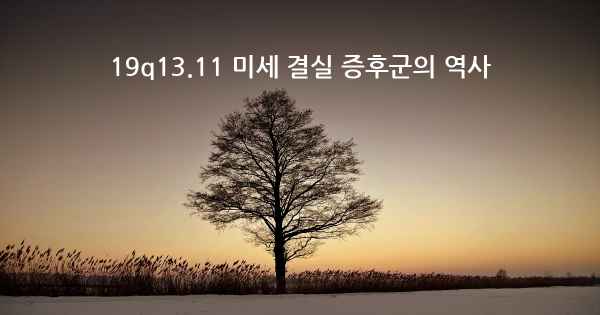 19q13.11 미세 결실 증후군의 역사