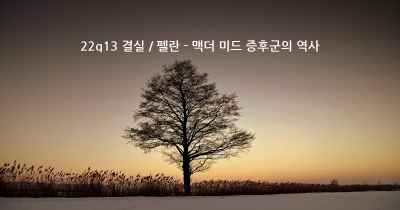 22q13 결실 / 펠란 - 맥더 미드 증후군의 역사